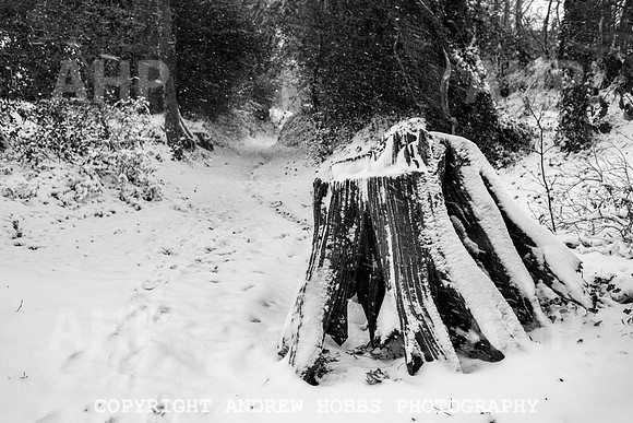 Snow 2018_HOB_5252