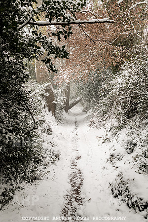 Snow 2018_HOB_5254