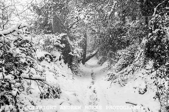 Snow 2018_HOB_5255