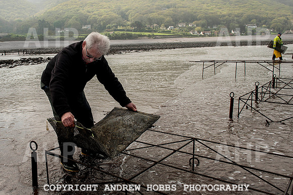 Porlock Oyster Beds 017