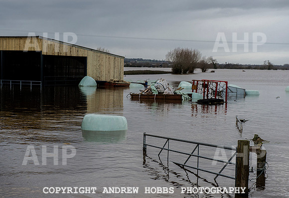 Family farm floods in Somerset, UK