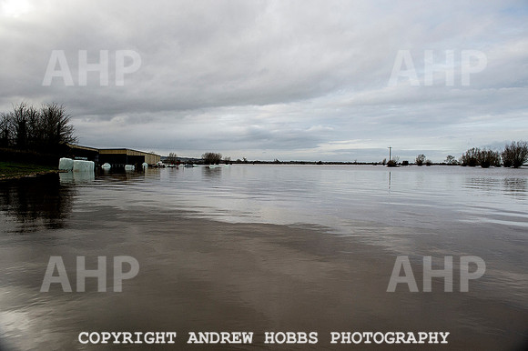 Family farm floods in Somerset, UK