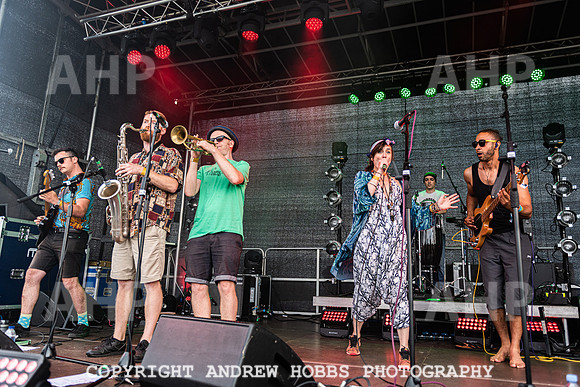 Cable St Collective Chagstock 21-4249