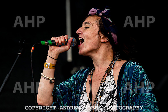 Cable St Collective Chagstock 21-6136