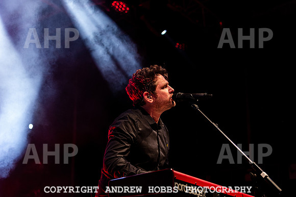 Scouting for Girls Chagstock 21-6361