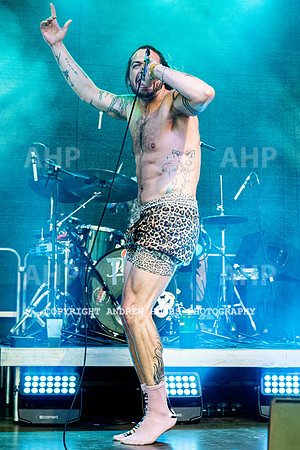 Town of Cats Chagstock 21-4511