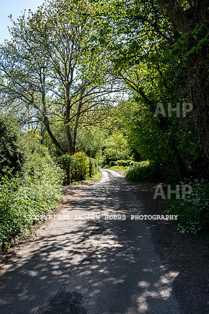 Roadwater Walk EM 2018_HOB_7552