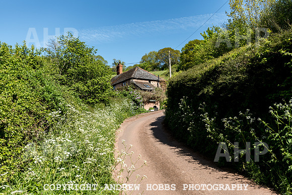 Roadwater Walk EM 2018_HOB_7553