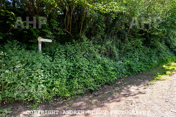 Roadwater Walk EM 2018_HOB_7555
