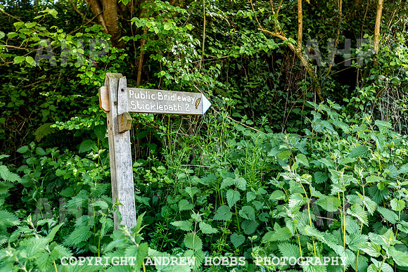 Roadwater Walk EM 2018_HOB_7556