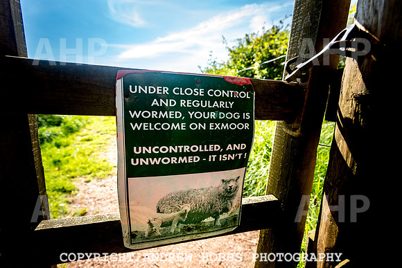 Roadwater Walk EM 2018_HOB_7557