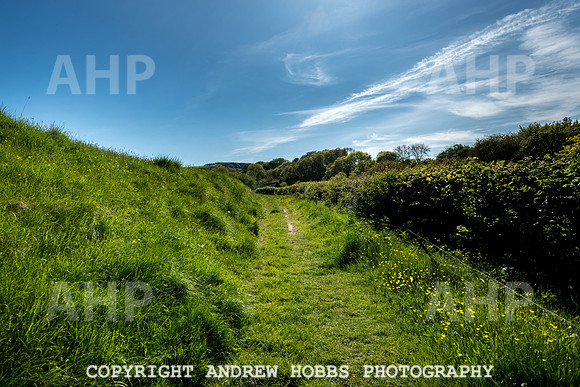Roadwater Walk EM 2018_HOB_7559