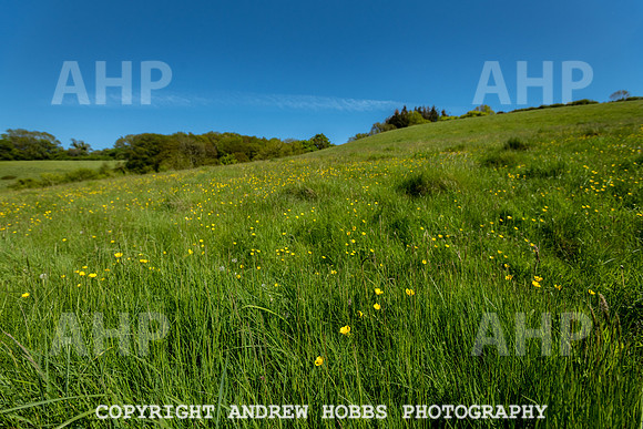 Roadwater Walk EM 2018_HOB_7560