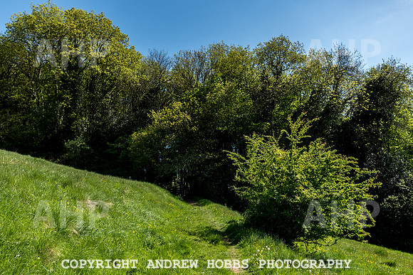 Roadwater Walk EM 2018_HOB_7561