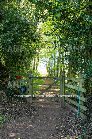 Roadwater Walk EM 2018_HOB_7562
