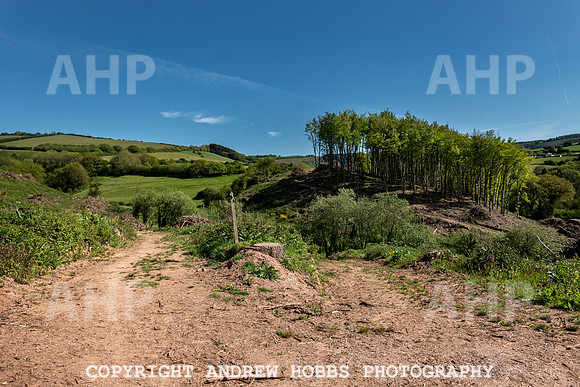 Roadwater Walk EM 2018_HOB_7563