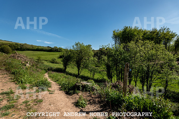Roadwater Walk EM 2018_HOB_7565