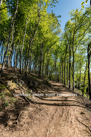 Roadwater Walk EM 2018_HOB_7566