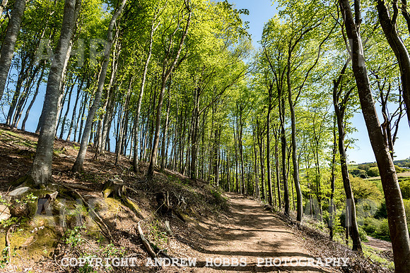 Roadwater Walk EM 2018_HOB_7567