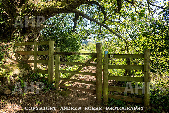 Roadwater Walk EM 2018_HOB_7570