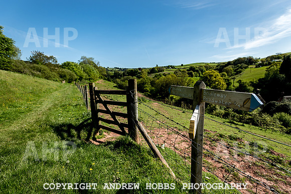 Roadwater Walk EM 2018_HOB_7572