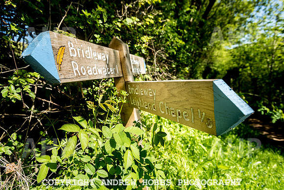 Roadwater Walk EM 2018_HOB_7573