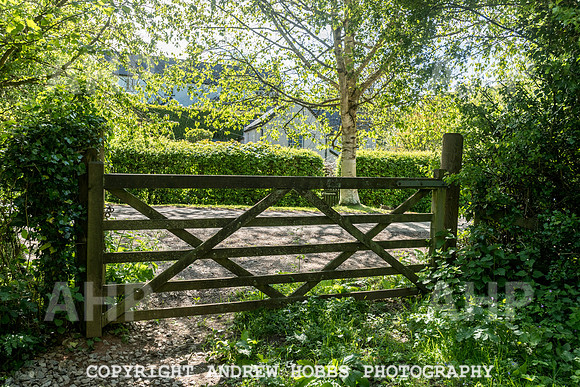 Roadwater Walk EM 2018_HOB_7575
