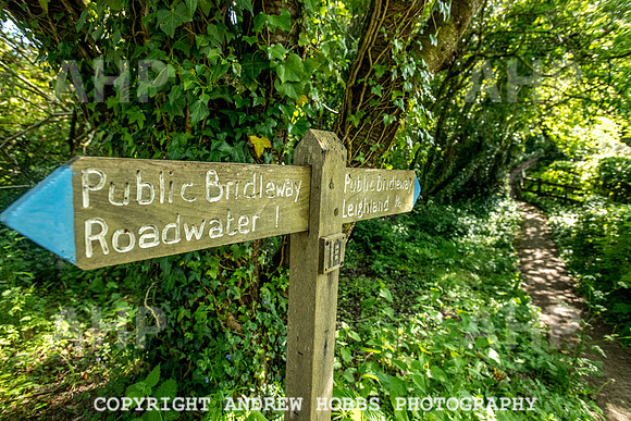 Roadwater Walk EM 2018_HOB_7576