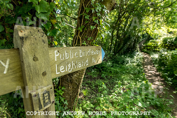 Roadwater Walk EM 2018_HOB_7577