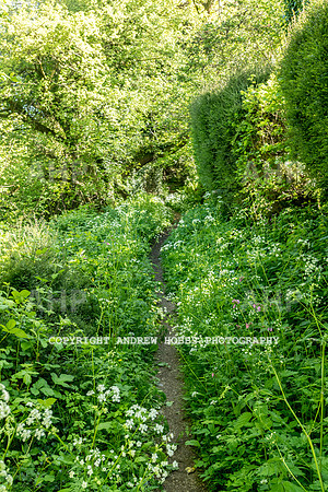 Roadwater Walk EM 2018_HOB_7580