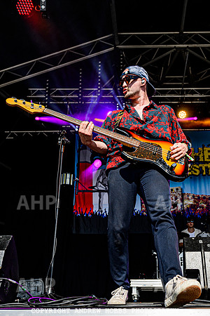 Pattern Pusher - Watchet Music Festival 2022-4282