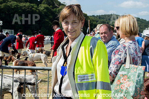 Dunster Country Fair 2014 018