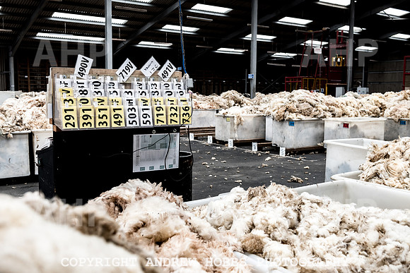 British Wool South Molton Mill - 2018_HOB_3946