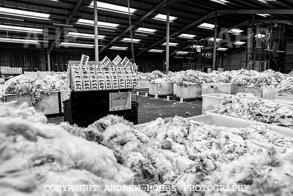 British Wool South Molton Mill - 2018_HOB_3947