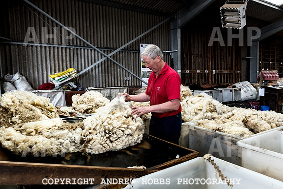 British Wool South Molton Mill - 2018_HOB_3953