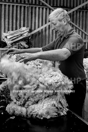 British Wool South Molton Mill - 2018_HOB_3956