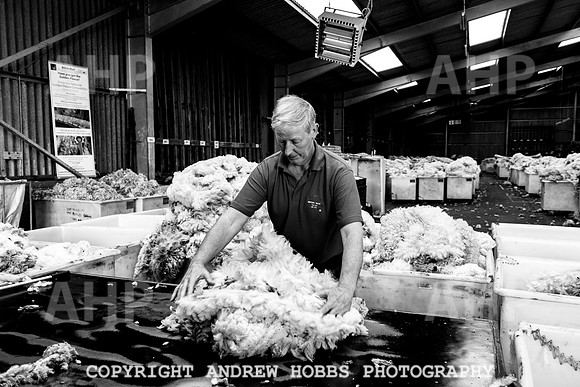 British Wool South Molton Mill - 2018_HOB_3971