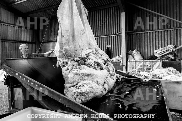 British Wool South Molton Mill - 2018_HOB_3975