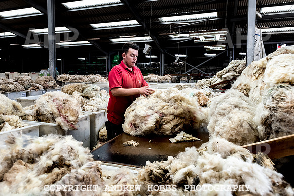 British Wool South Molton Mill - 2018_HOB_3980