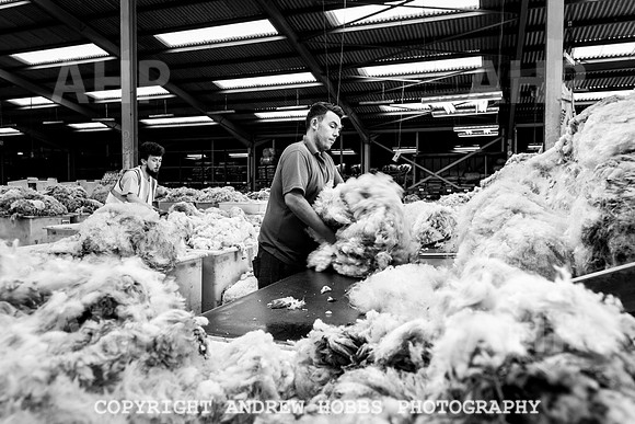British Wool South Molton Mill - 2018_HOB_3984