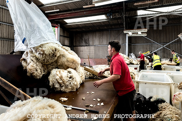 British Wool South Molton Mill - 2018_HOB_4006