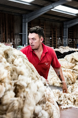 British Wool South Molton Mill - 2018_HOB_4014