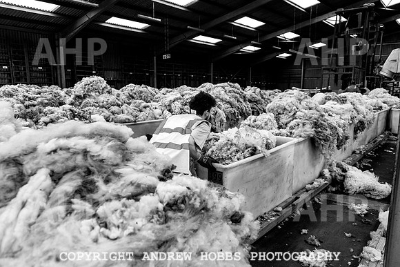British Wool South Molton Mill - 2018_HOB_4019