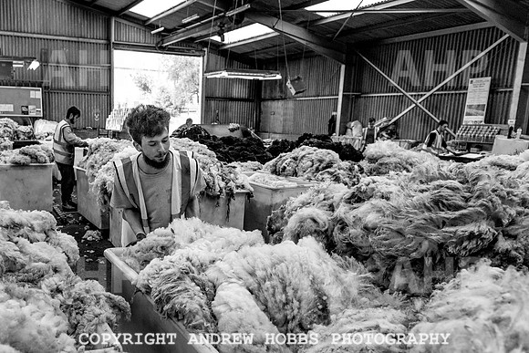 British Wool South Molton Mill - 2018_HOB_4034
