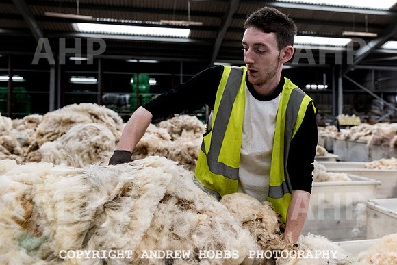 British Wool South Molton Mill - 2018_HOB_4037