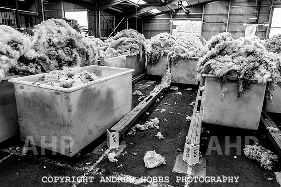 British Wool South Molton Mill - 2018_HOB_4057