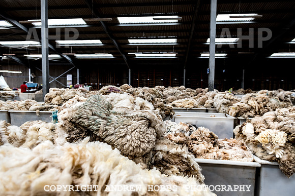 British Wool South Molton Mill - 2018_HOB_4059