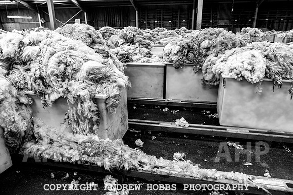 British Wool South Molton Mill - 2018_HOB_4061