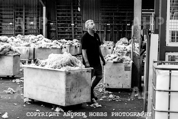 British Wool South Molton Mill - 2018_HOB_4131