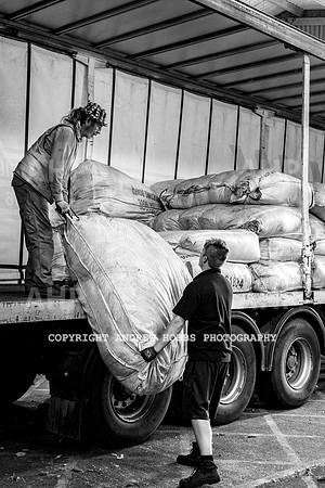 British Wool South Molton Mill - 2018_HOB_4171
